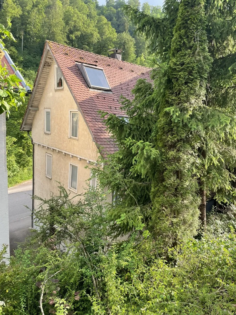 Erhöhte Ansicht des Hauses mit rotem Dach zwischen Bäumen